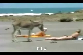 Fraer يمارس الجنس بحماس مع الجمال في المطبخ في افلام سكسي مترجمة كس رقيق.