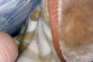 مدلك لا يشبع مارس الجنس مع العميل على الأريكة. افلام سكسي اجنبي مترجم
